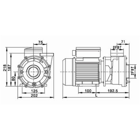 spa pump lx lp 300