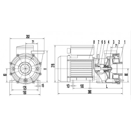 spa pump lx lp 300